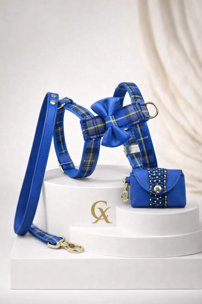Conjunto Anderson Velvet Dog Collection: arnés, correa y bolsito para Pomerania