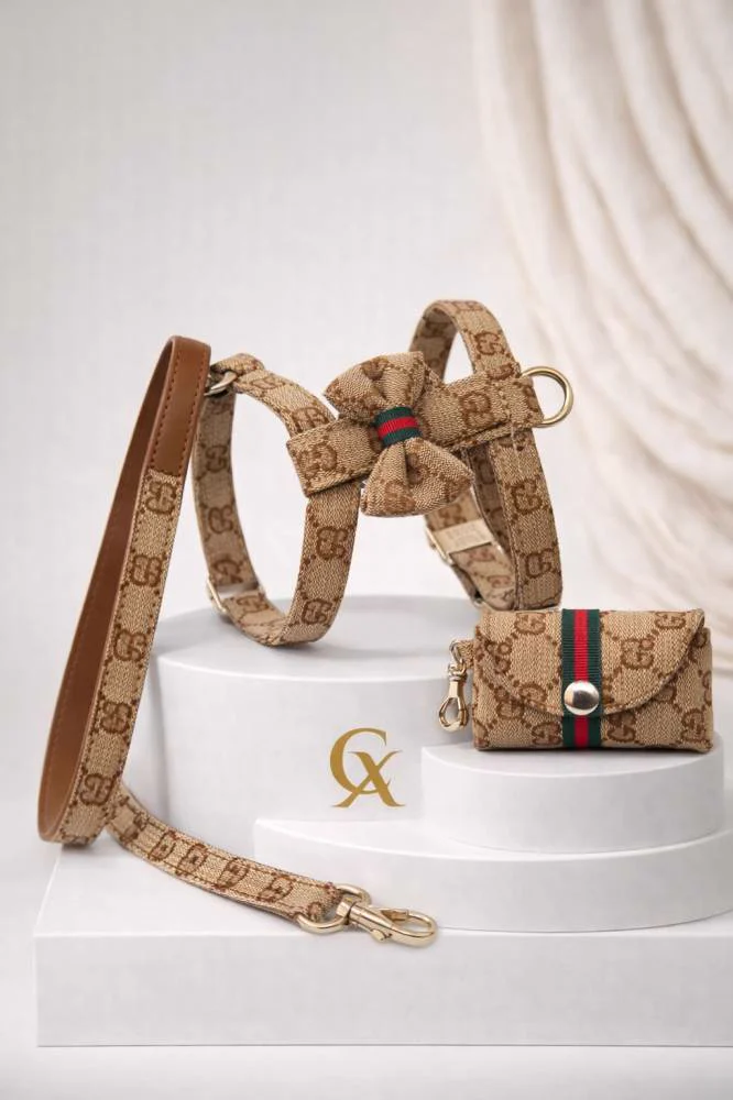 Conjunto Lucca Velvet Dog Collection: arnés, correa y bolsito para Pomerania