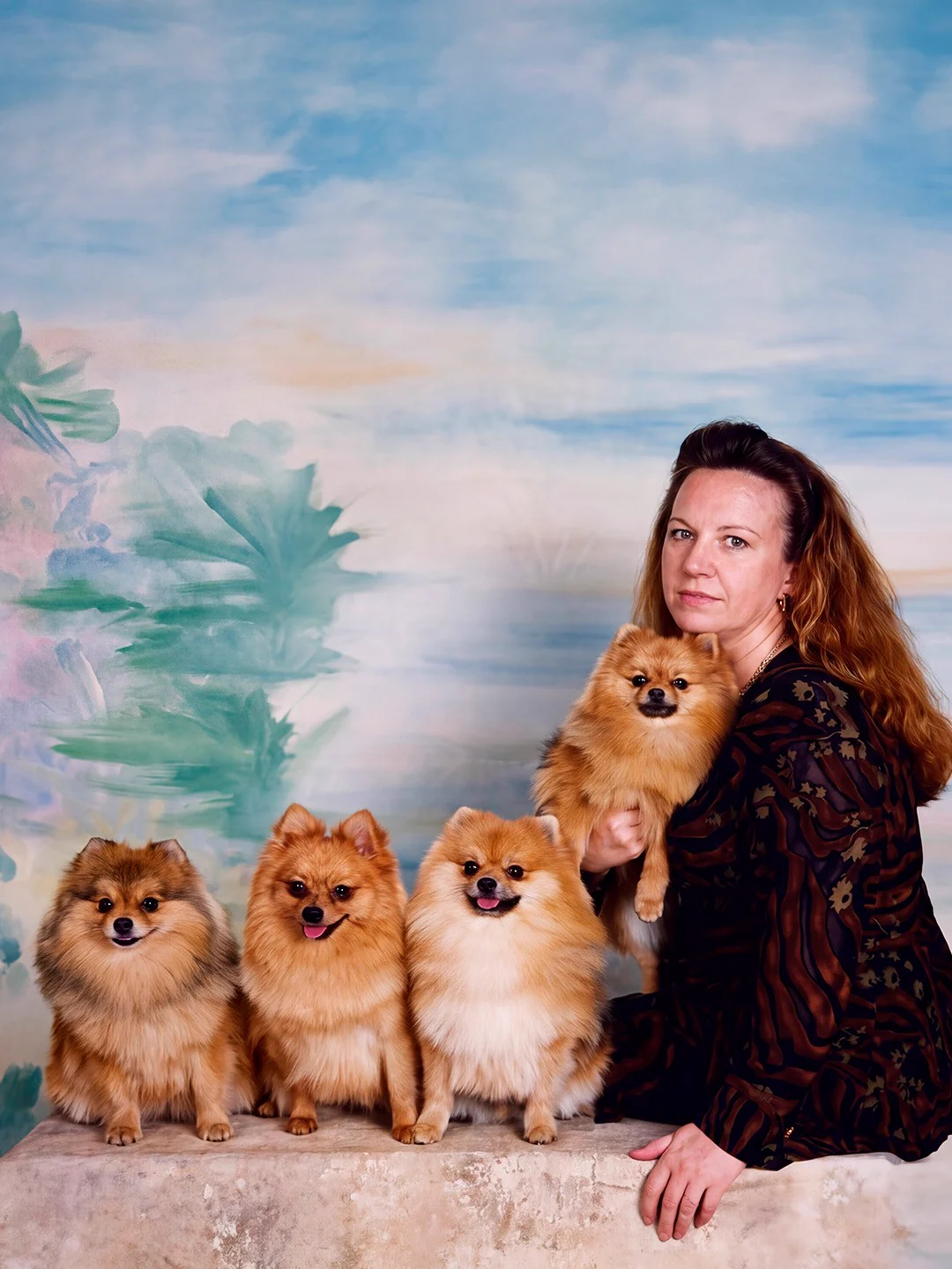 María José Guerrero con Bonnie, Nina, Candy y Betty, sus cuatro Pomeranias, en un retrato de estudio