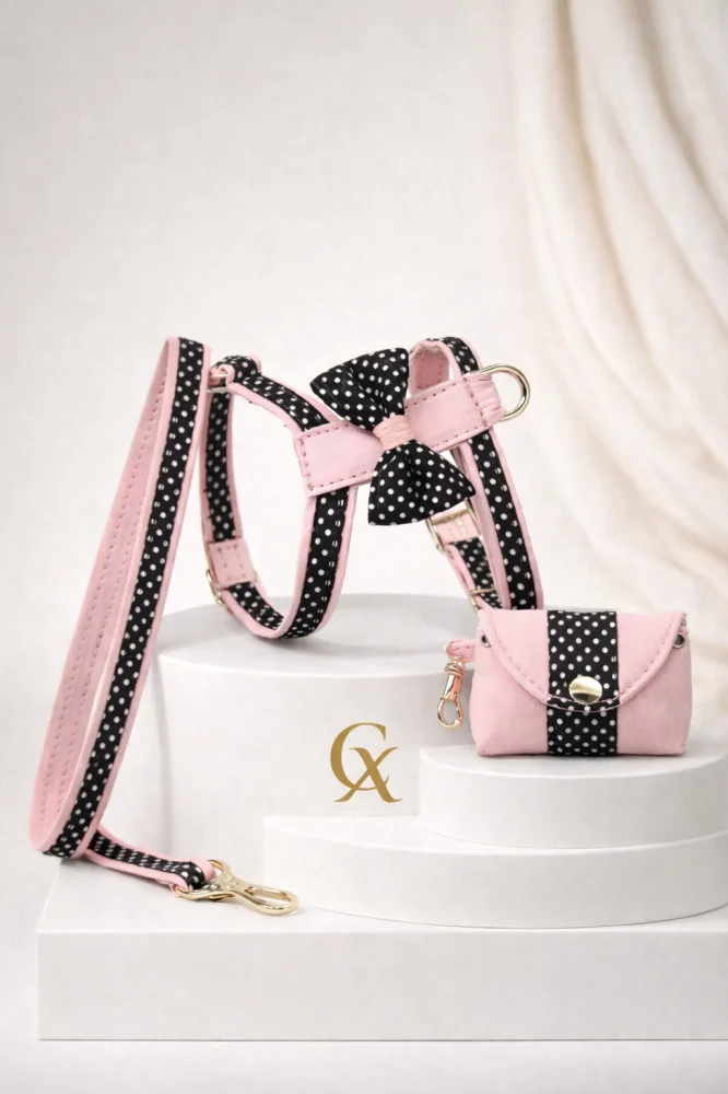 Conjunto Rosel Velvet Dog Collection: arnés, correa y bolsito para Pomerania
