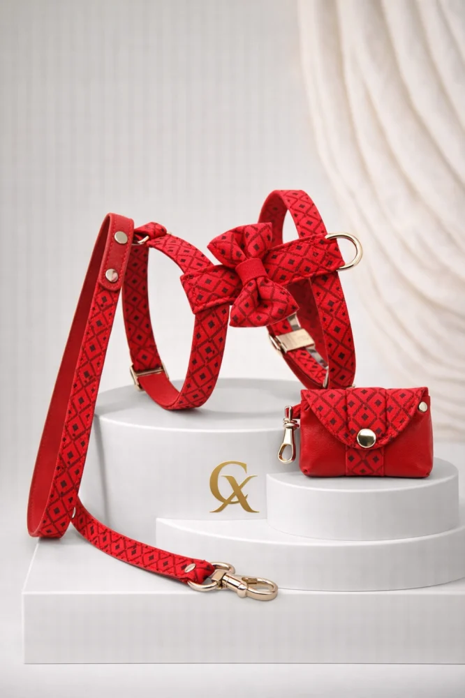 Conjunto Sophie Velvet Dog Collection: arnés, correa y bolsito para Pomerania